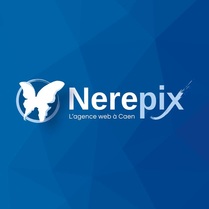 Nerepix Web Agency Logo